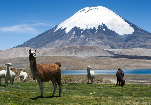 Chile